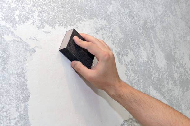 Best Mold Odor Removal Services  in Waunakee, WI