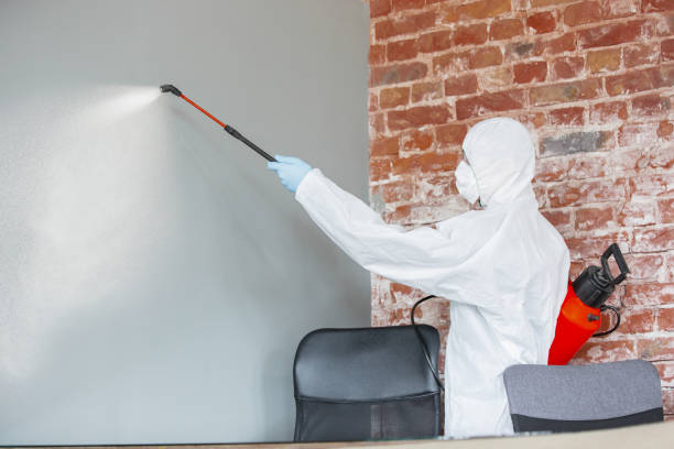 Best Indoor Air Quality Assessment  in Waunakee, WI