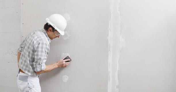 Best Environmental Consulting for Mold Prevention  in Waunakee, WI