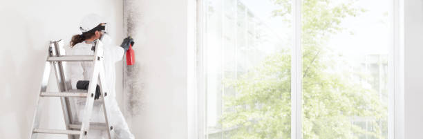 Best Biohazard Mold Removal  in Waunakee, WI