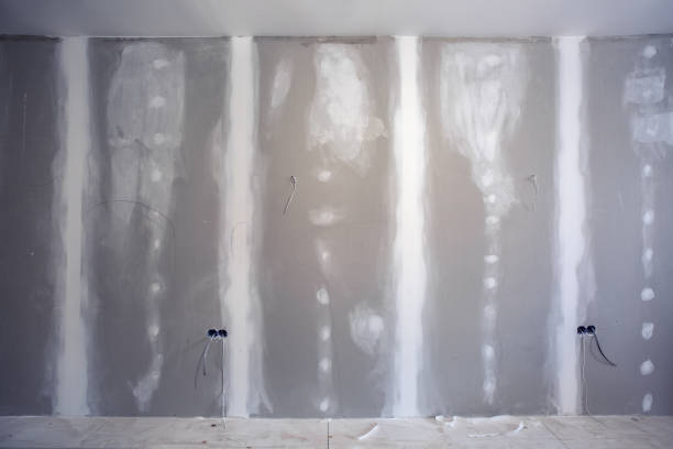 Environmental Consulting for Mold Prevention in Waunakee, WI